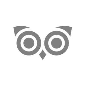 Night owl membership icon